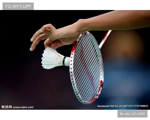 马蒂亚斯·鲍伊网前技术惊艳全场，演绎羽毛球艺术新篇章