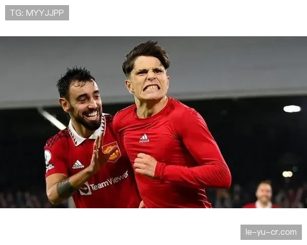 加纳乔在阿根廷国家队的定位分析 加纳乔在阿根廷国家队的定位分析