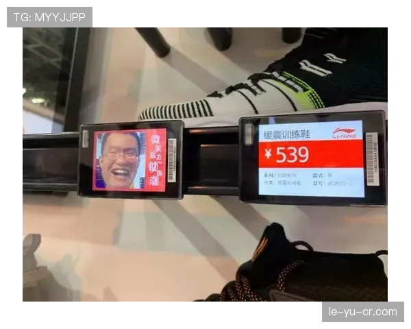 陆光祖那双鞋的价签我看了三遍，我这月工资连标签都买不起